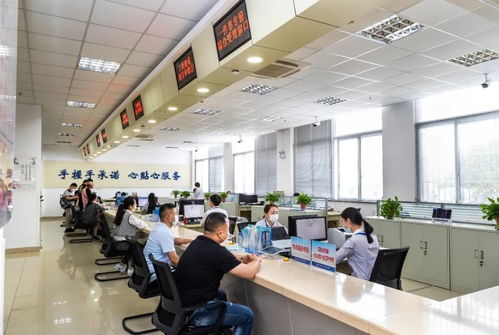 做天下头等大事 我开理发店的全攻略与信息咨询服务